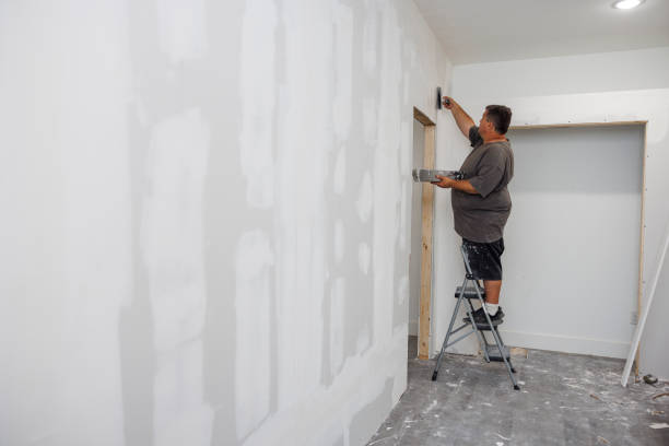 Best Drywall Repair  in USA